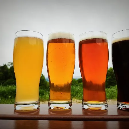 Dom Turysty Pod Wiezyca *