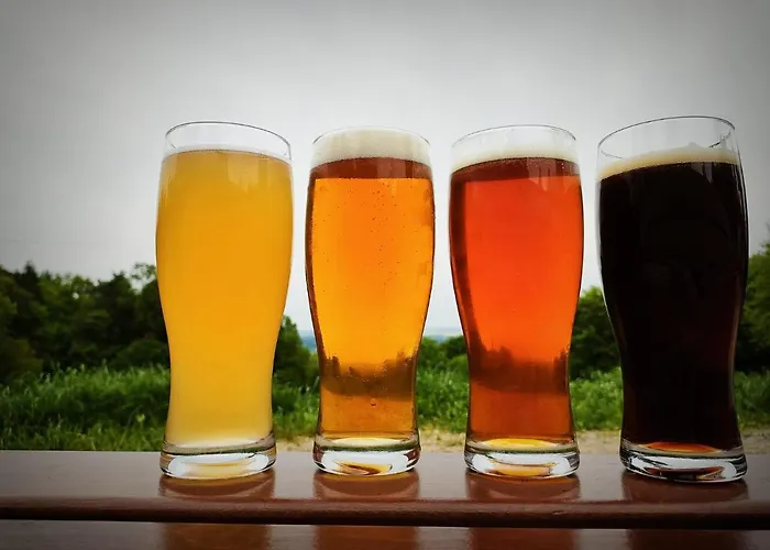 Dom Turysty Pod Wieżycą *